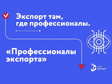 Безопасность международного бизнеса обеспечит сервис «Профессионалы экспорта» на платформе «Мой экспорт»