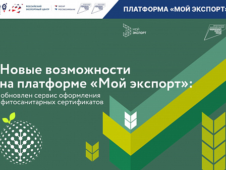 Платформа «Мой экспорт» обновила сервис оформления фитосанитарных сертификатов