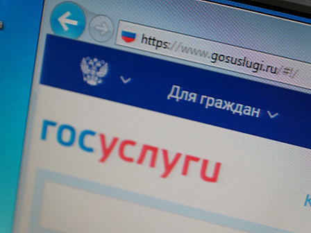 «Госуслуги» как стартовая площадка для бизнеса на Кубани: полный  цикл поддержки предпринимателей 