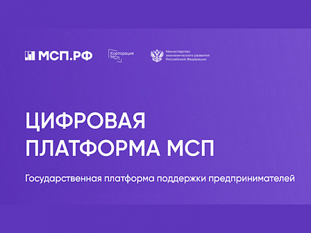 Государственная платформа поддержки предпринимателей