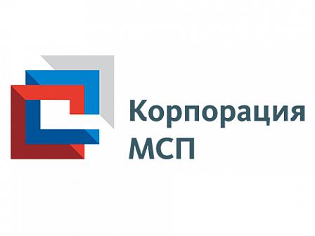 Проходит отбор заявок от субъектов МСП на участие в программе по развитию («выращиванию») поставщиков